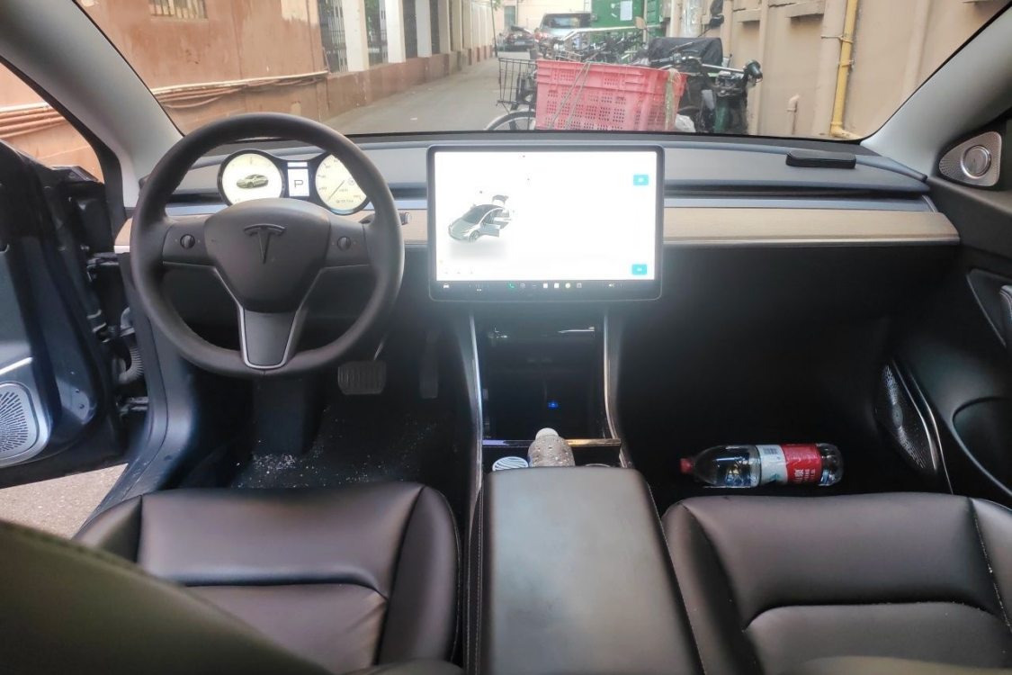 Tesla Model 3 2020 car image #21