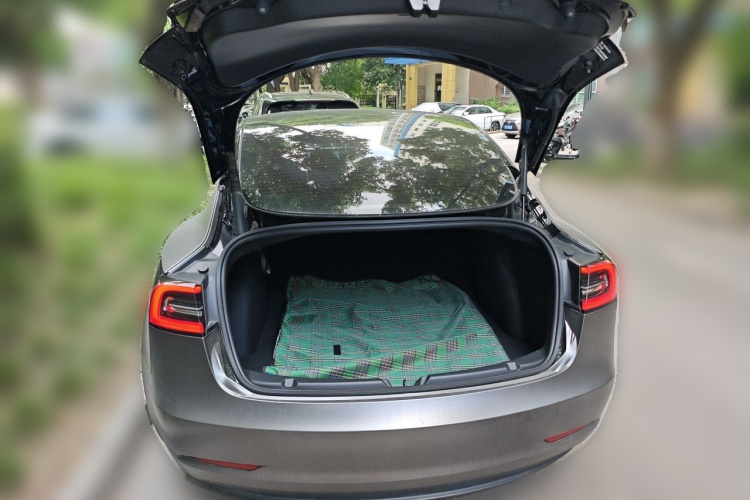 Tesla Model 3 2022 #17 Tesla Model 3 2022 car image #17