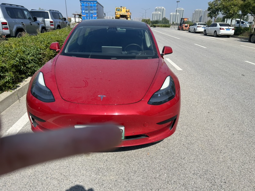 Tesla Model 3 2021 #2 Tesla Model 3 2021 car image #2
