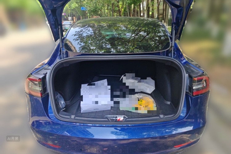 Tesla Model 3 2020 car image #21