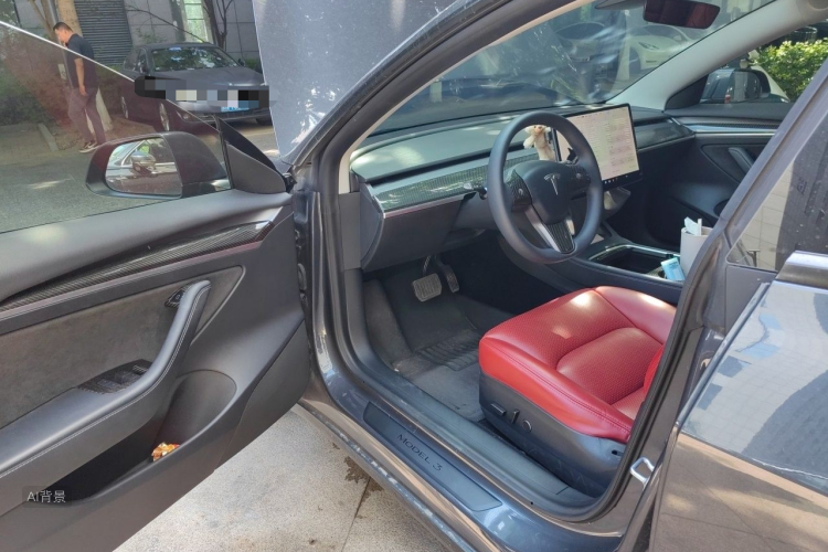 Tesla Model 3 2021 car image #18