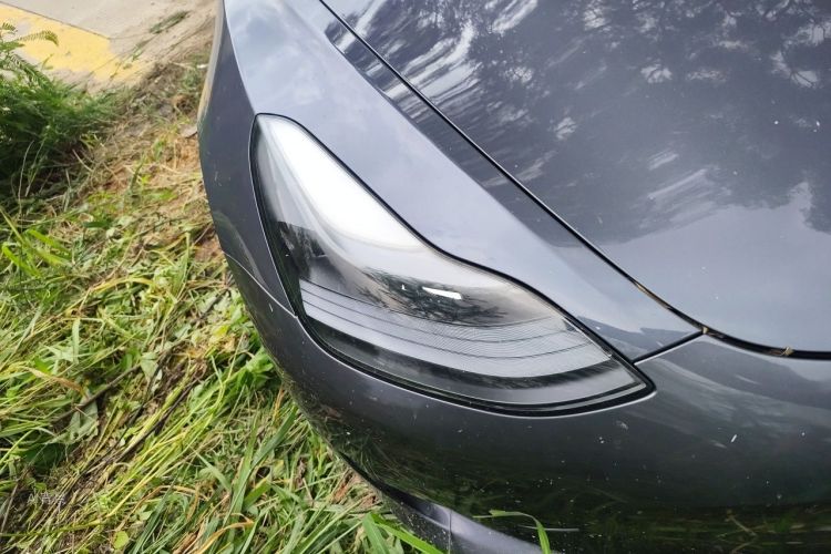 Tesla Model 3 2021 #8 Tesla Model 3 2021 car image #8