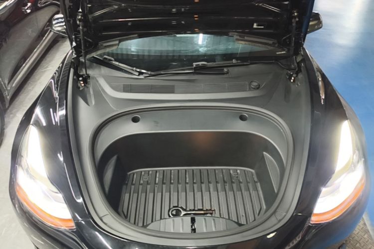 Tesla Model 3 2021 car image #20