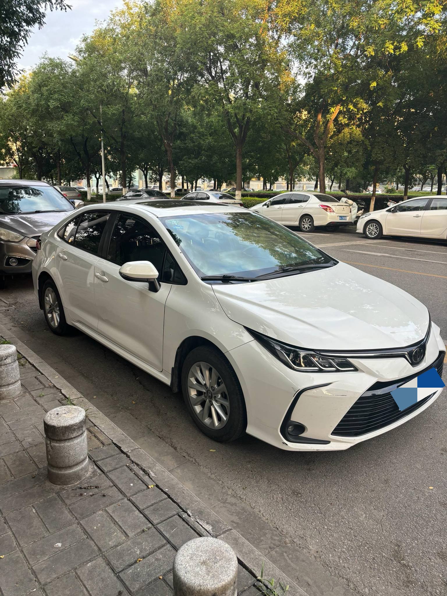 Toyota Corolla 2019 #3 Toyota Corolla 2019 imagen de coche #3