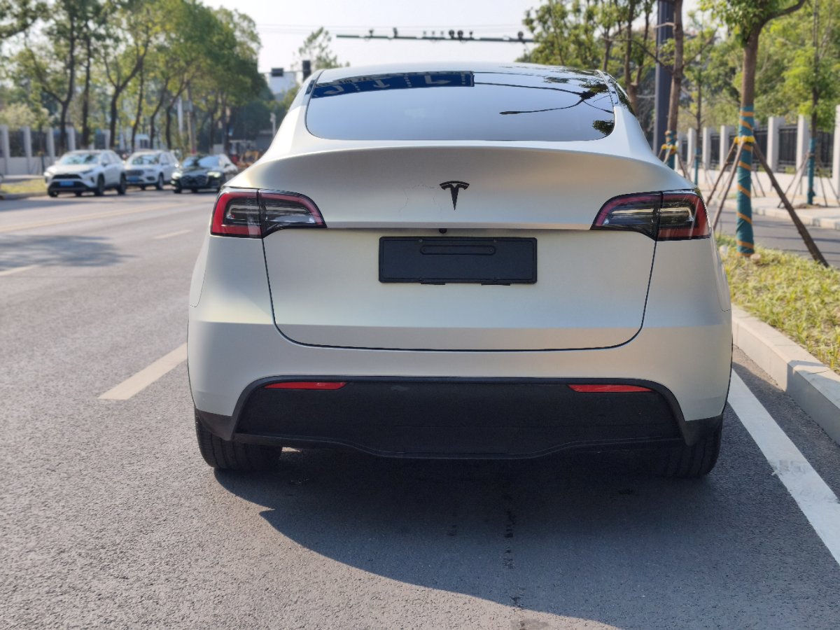 Tesla Model Y 2023 #10 Tesla Model Y 2023 imagem de carro #10