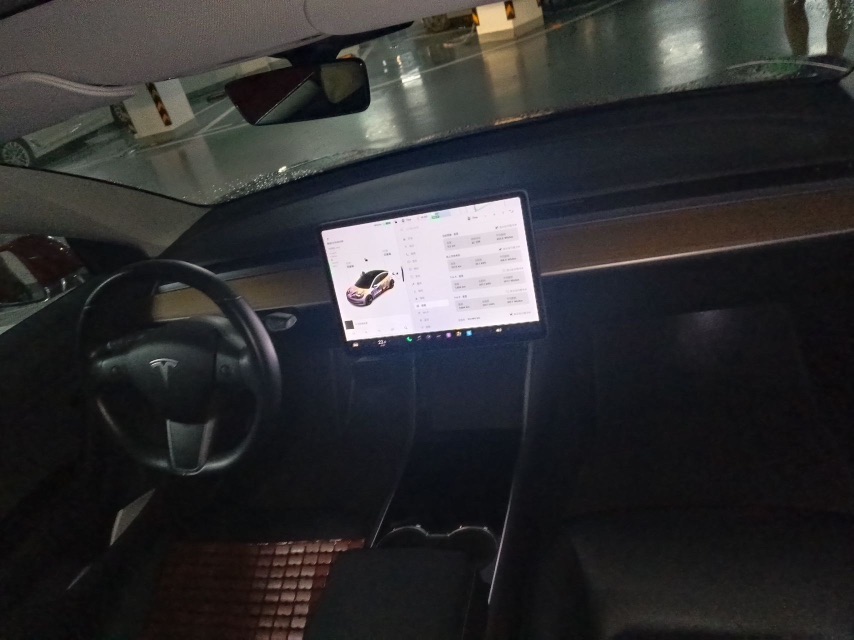 Tesla Model 3 (Imported) 2019 car image #4