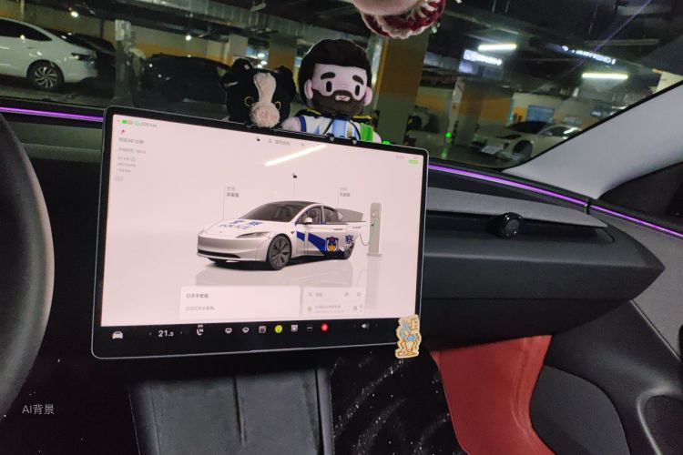 Tesla Model 3 2025 car image #13