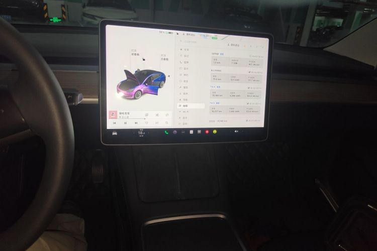 Tesla Model 3 2021 car image #13