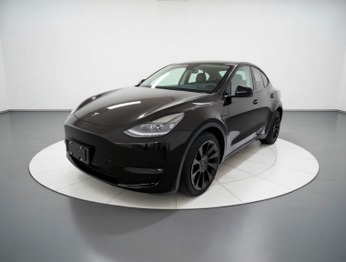 Tesla Model Y 2021 Tesla Model Y 2021 car image