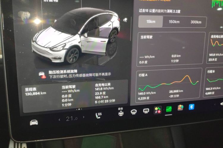 Tesla Model Y 2022 #12 Tesla Model Y 2022 car image #12