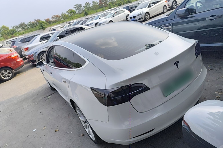 Tesla Model 3 2020 #5 Tesla Model 3 2020 car image #5