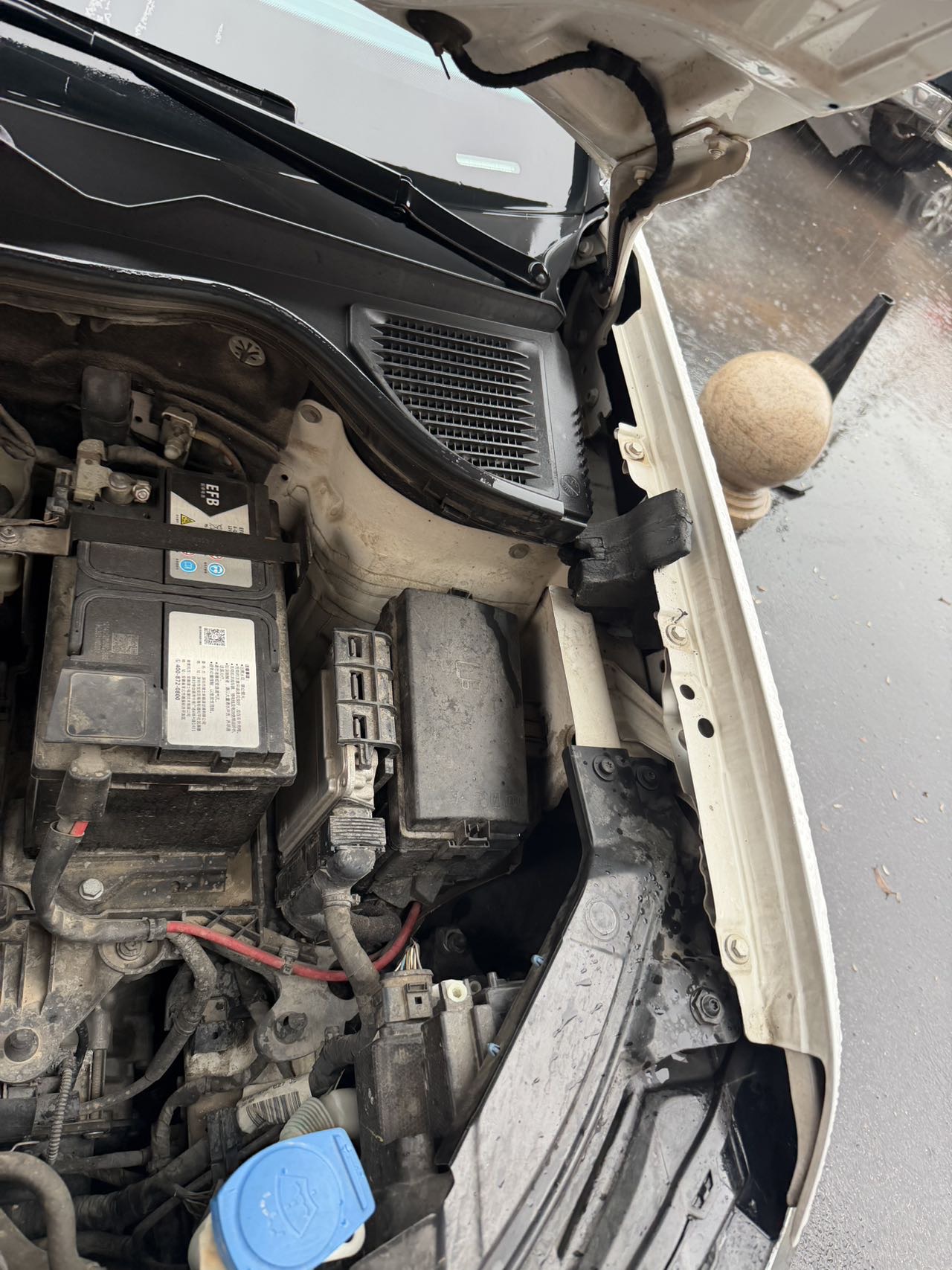 Volkswagen Tharu 2020 car image #9