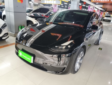 Tesla Model Y 2021 car image 