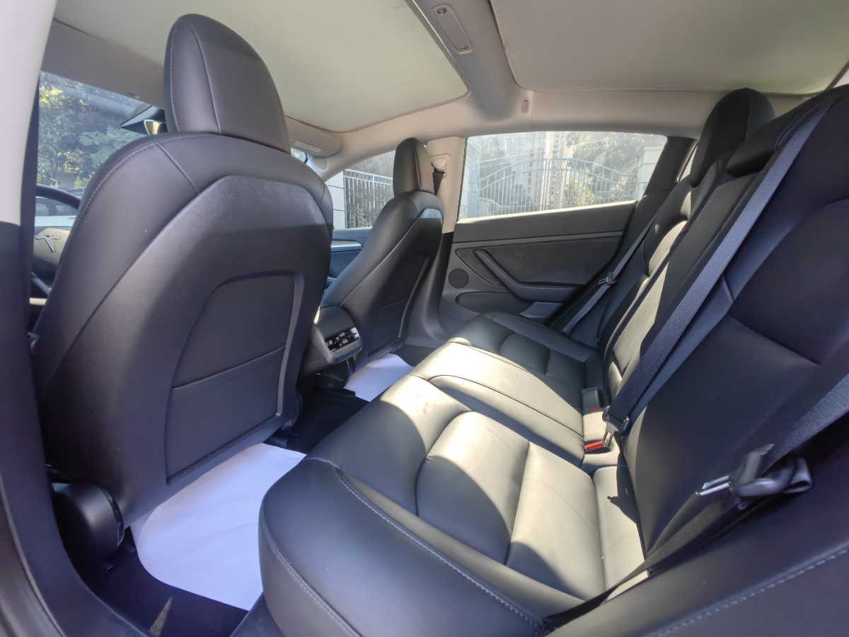 Tesla Model 3 2021 #5 Tesla Model 3 2021 car image #5