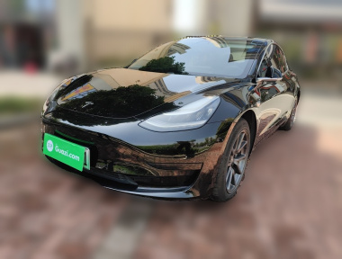 Tesla Model 3 2020 car image 