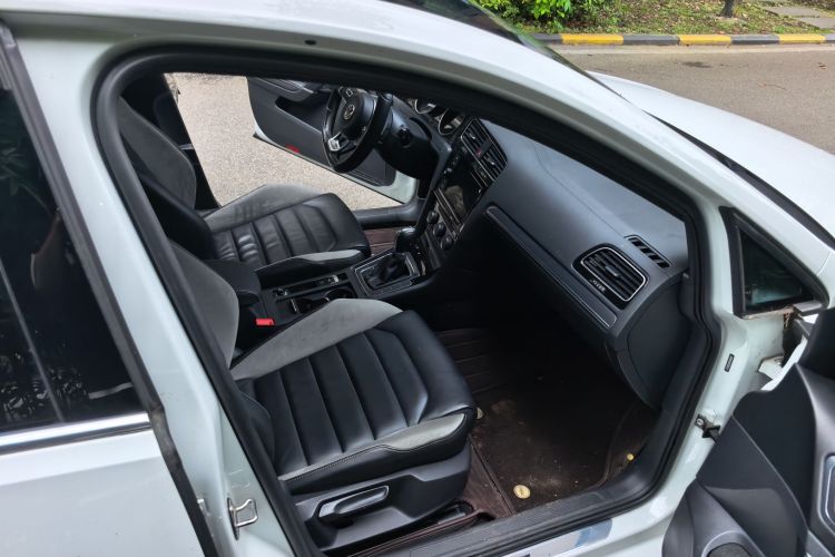 Volkswagen Golf 2019 #23 Volkswagen Golf 2019 car image #23