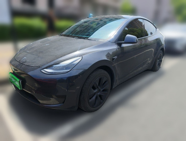 Tesla Model Y 2024 car image 