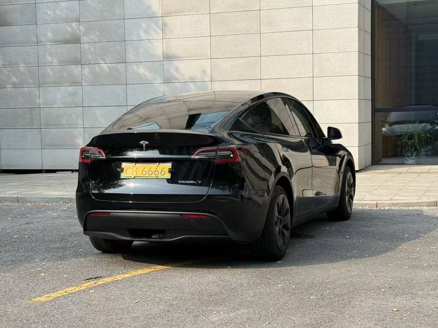 Tesla Model Y 2022 car image #11