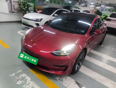 Tesla Model 3 2021 Tesla Model 3 2021 car image