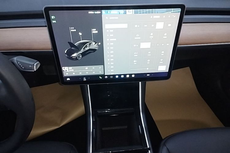Tesla Model 3 2020 immagine di auto #13