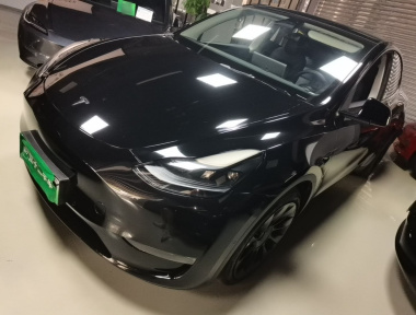 Tesla Model Y 2021 Tesla Model Y 2021 car image