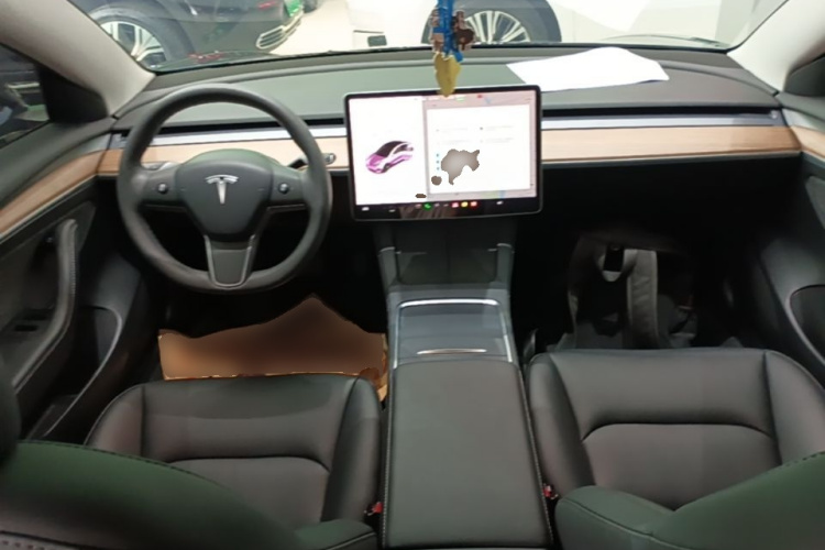 Tesla Model 3 2022 car image #10