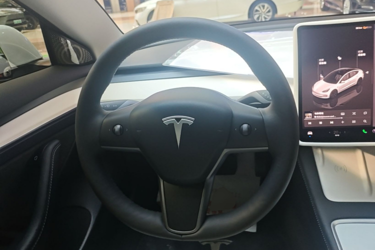 Tesla Model 3 2023 car image #11