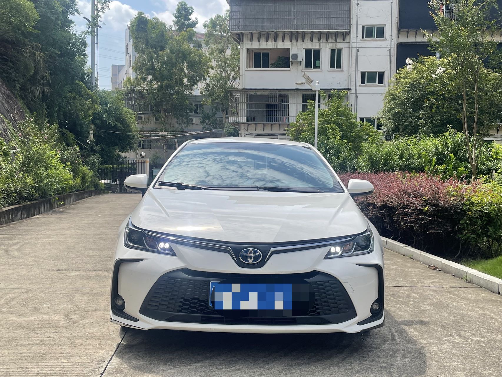 Toyota Corolla 2024 #4 Toyota Corolla 2024 car image #4