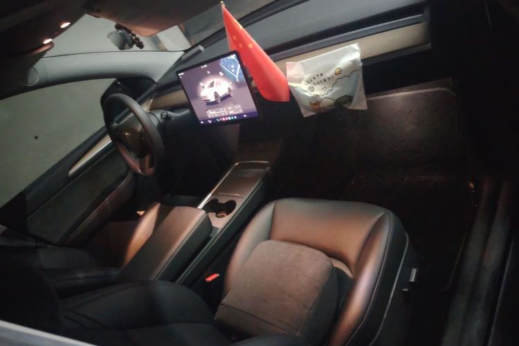 Tesla Model Y 2022 car image #21