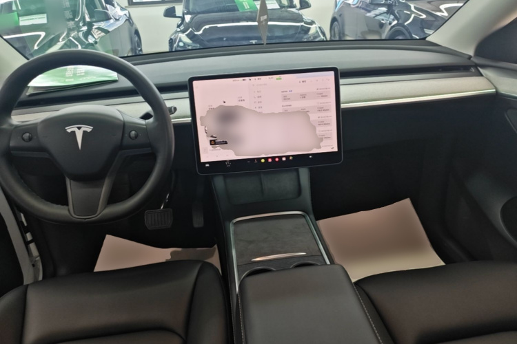 Tesla Model Y 2024 car image #10