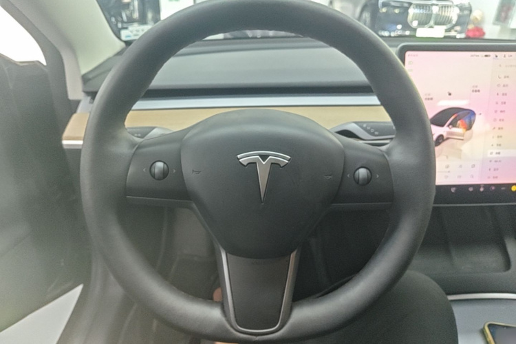 Tesla Model 3 2022 #15 Tesla Model 3 2022 car image #15