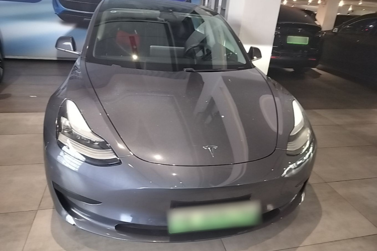 Tesla Model 3 2020 car image #3