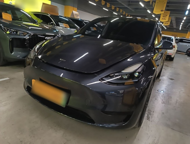 Tesla Model Y 2024 car image 