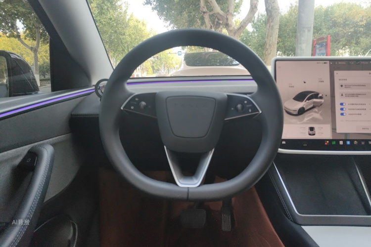 Tesla Model Y 2025 #12 Tesla Model Y 2025 صورة سيارة #12