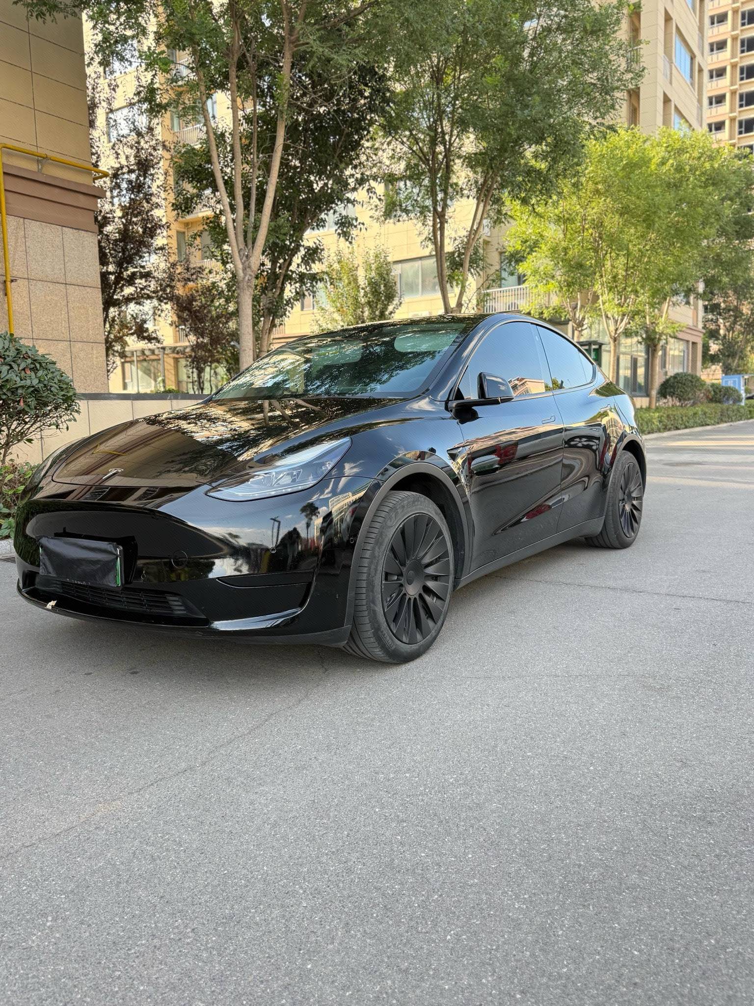 Tesla Model Y 2023 Tesla Model Y 2023 car image
