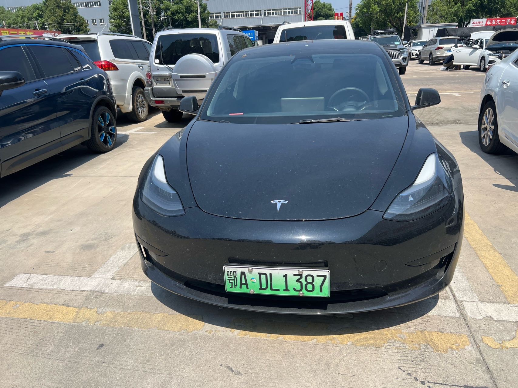 Tesla Model 3 2021 #2 Tesla Model 3 2021 car image #2
