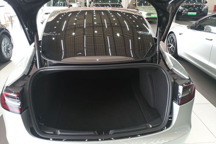 Tesla Model 3 2022 immagine di auto #19