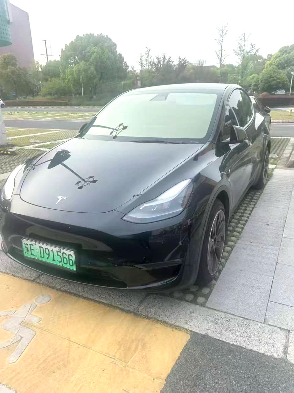 Tesla Model Y 2021 Tesla Model Y 2021 car image