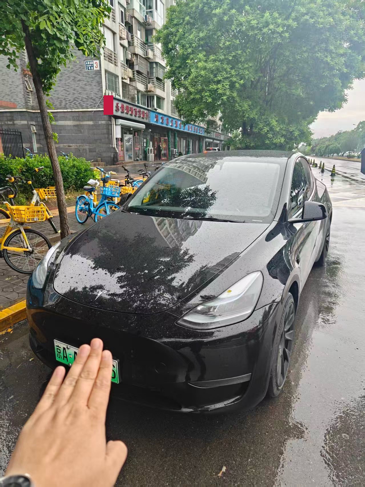Tesla Model Y 2022 Tesla Model Y 2022 car image