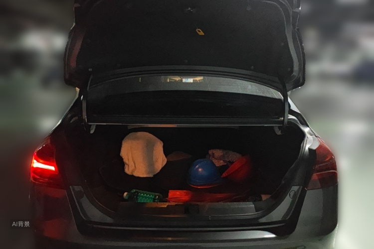 GEELY Emgrand 2019 #21 GEELY Emgrand 2019 car image #21