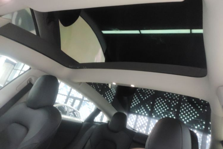 Tesla Model 3 2021 #18 Tesla Model 3 2021 car image #18