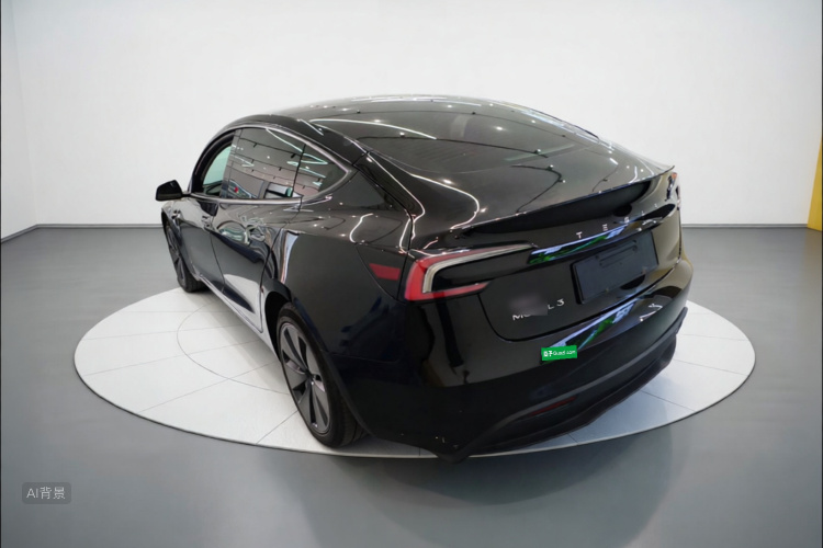 Tesla Model 3 2023 #5 Tesla Model 3 2023 car image #5