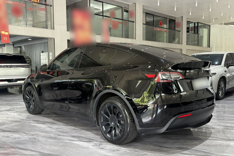 Tesla Model Y 2023 car image #13