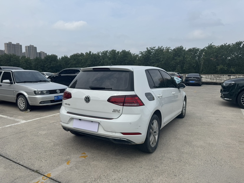 Volkswagen Golf 2019 #10 Volkswagen Golf 2019 car image #10