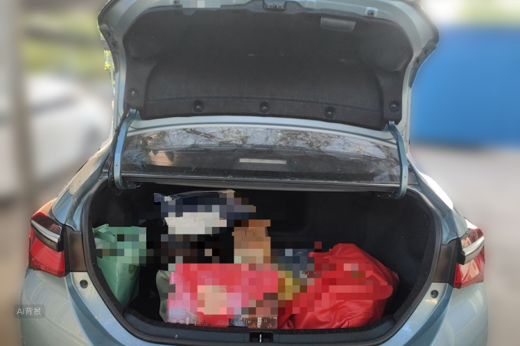 Toyota Corolla 2017 car image #21