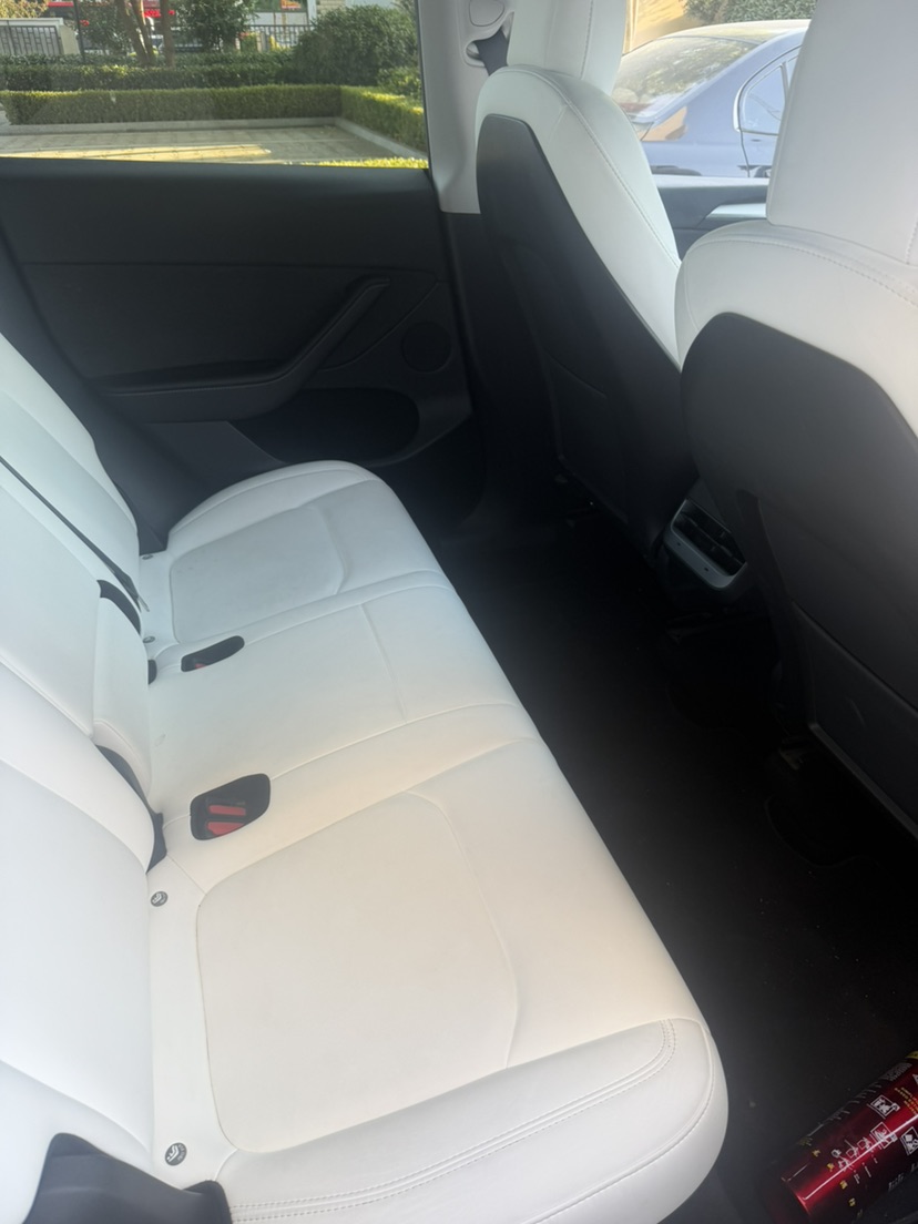 Tesla Model Y 2021 #4 Tesla Model Y 2021 car image #4