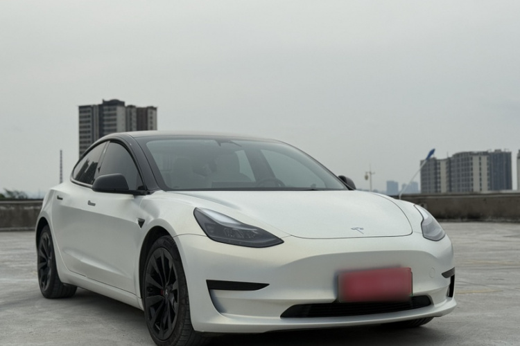 Tesla Model 3 2021 car image #3