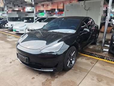 Tesla Model 3 2021 Tesla Model 3 2021 car image