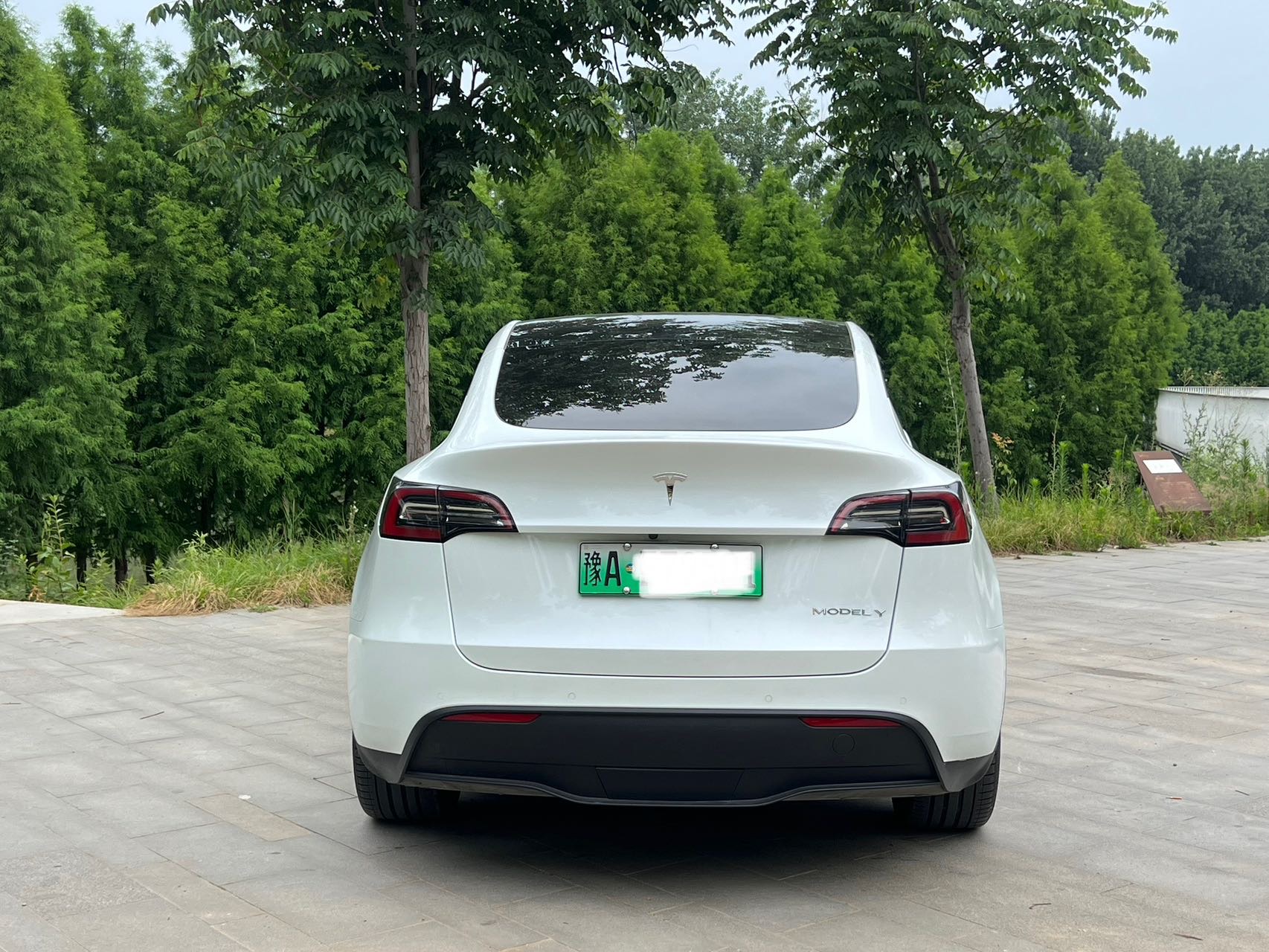 Tesla Model Y 2023 #9 Tesla Model Y 2023 car image #9