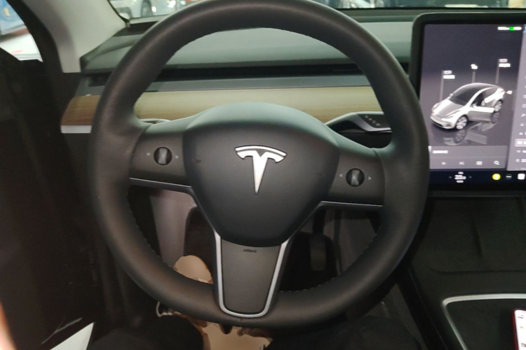 Tesla Model Y 2023 car image #11
